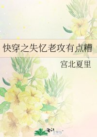 快穿之失憶老攻有點糟